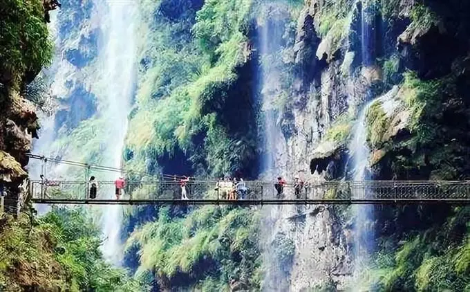 d82e9a14585973a271c936e6a616b5ca-sz_78390