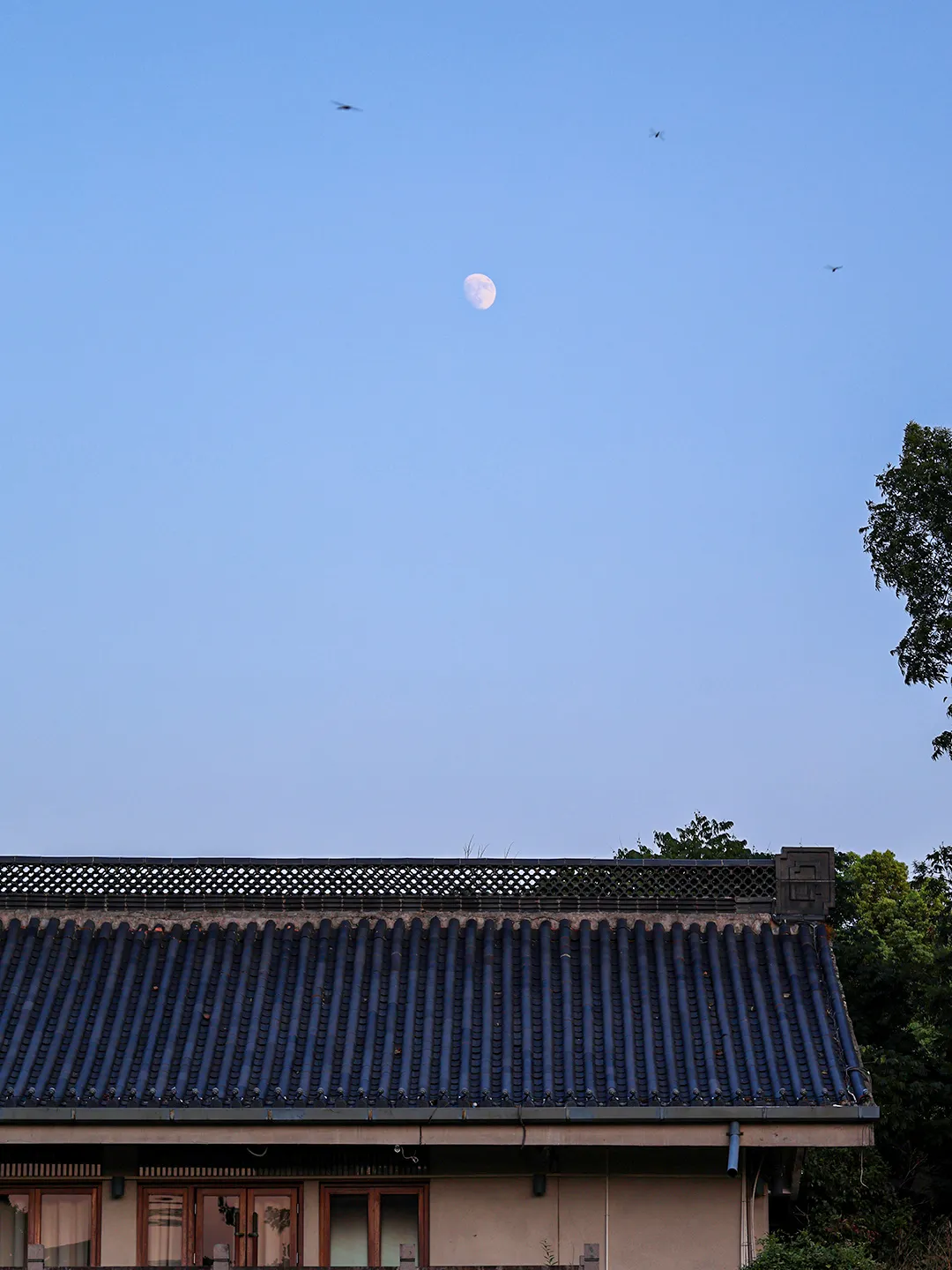 d87c60d9c1d086f25938bc3f50be5195-sz_2269799