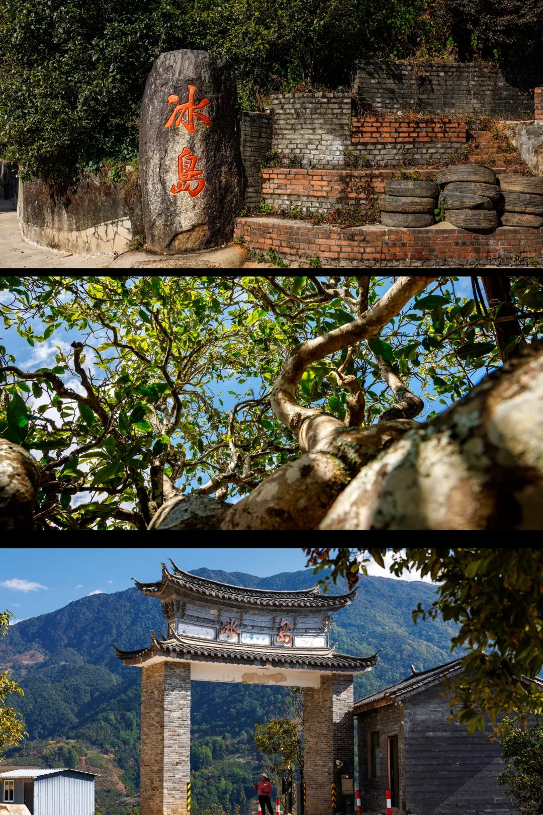 d87d3986395b7fa9104472ffd2127209-sz_4492938-1