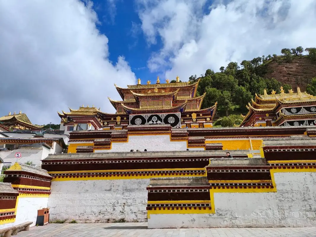 d970b893419ce8693f8cd215c89013bd-sz_169138-1