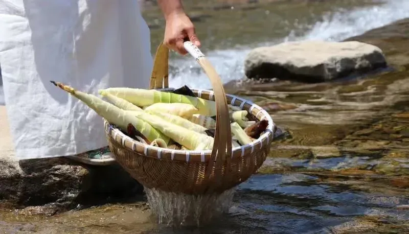 d975caf3e7f433b5eddbaf1dd2b4745f-sz_589330