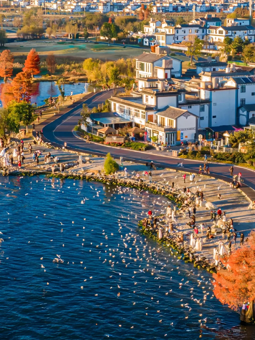 d9880c1f0533ad480999fdc8f135f375-sz_1166302-1