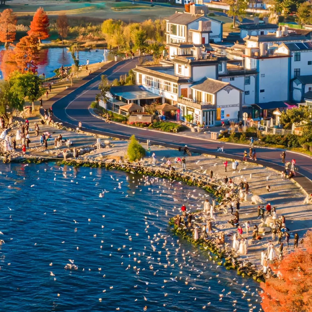 d9880c1f0533ad480999fdc8f135f375-sz_1166302