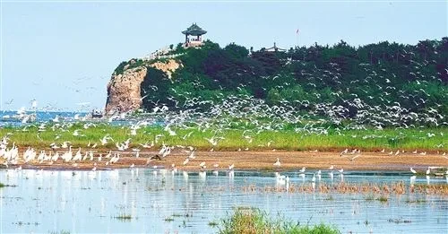 d9923fc2fb0d848539ba30ba5af27d46-sz_39546