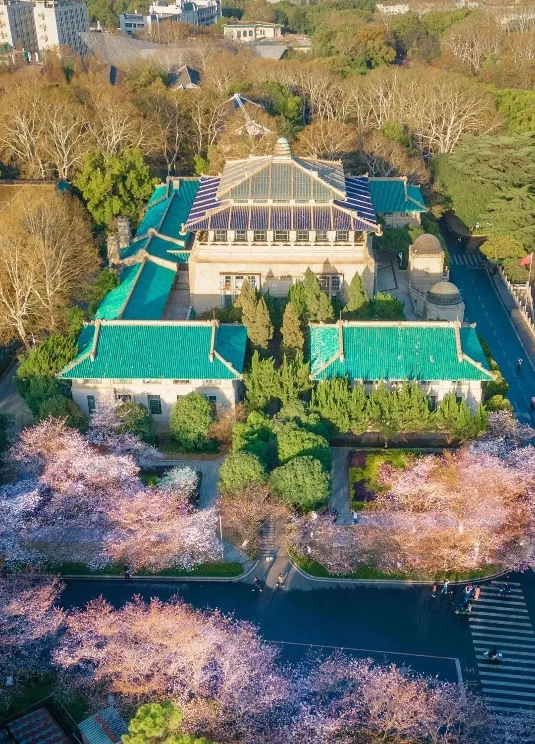 da3430799a29121b3817a6a5f1084ba7-sz_485502