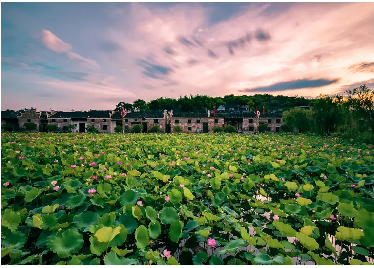 da48faa178c3268409f0d0378be65564-sz_804323