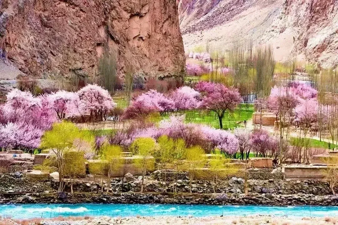 dac4512ce4d256f3a35202623bf3c261-sz_1855603