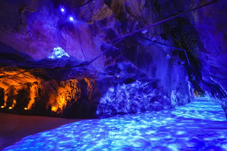 dade18a9a5a119e5ce40deacce12cd0c-sz_9556863