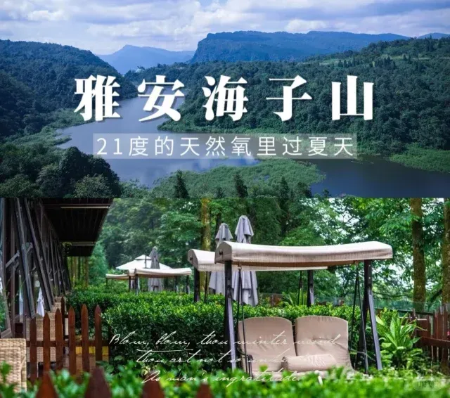 daf56dc3f57aa7a4122727739e1c4565-sz_1015897 daf56dc3f57aa7a4122727739e1c4565-sz_1015897