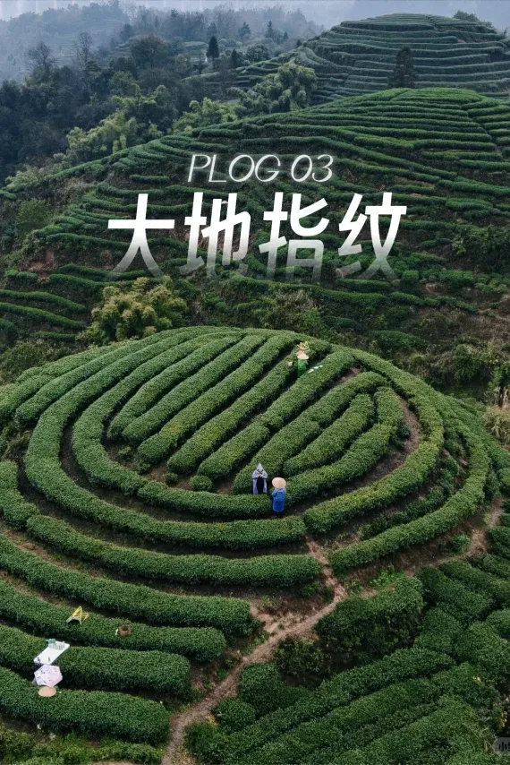 db28348ac990715474363ce6d6826b35-sz_1227744 db28348ac990715474363ce6d6826b35-sz_1227744