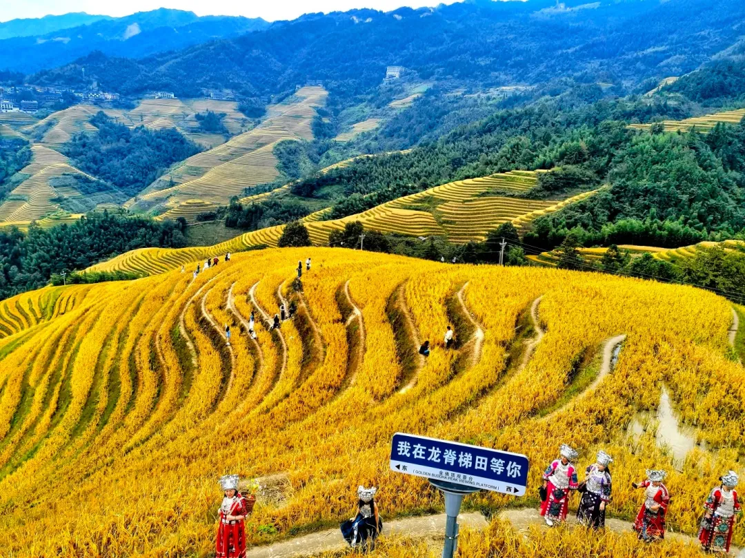 db83de1ba0bdff4c78c625b577ed5675-sz_880586