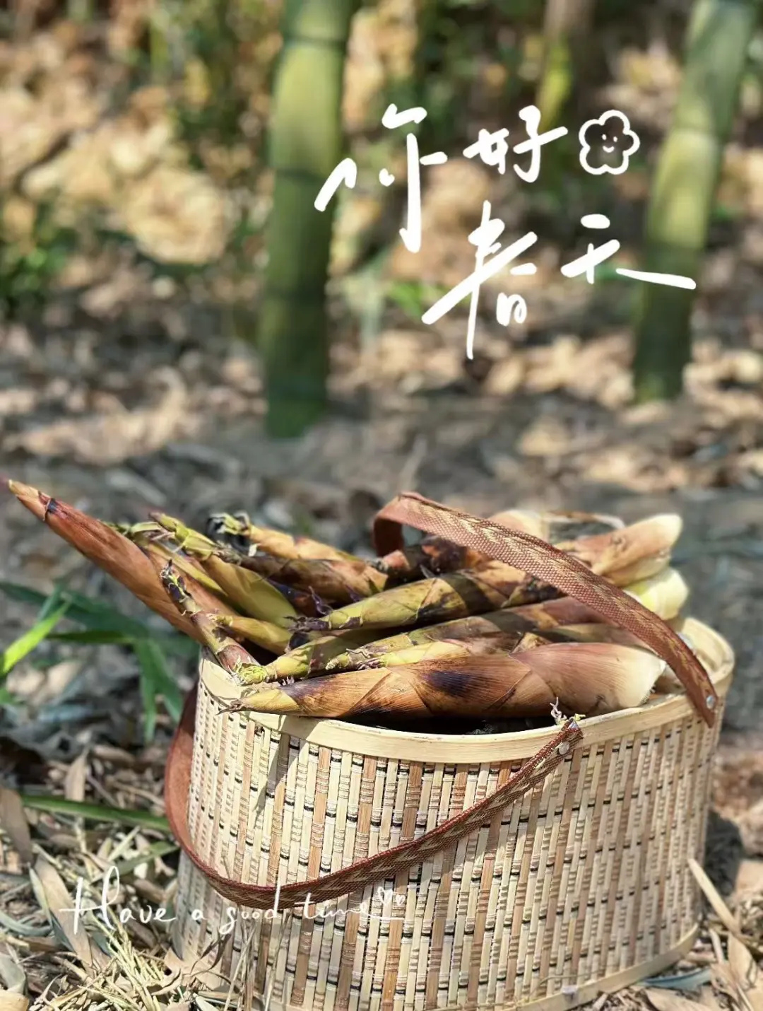 db9f1b015eb070c54eef10498505eace-sz_256332-2