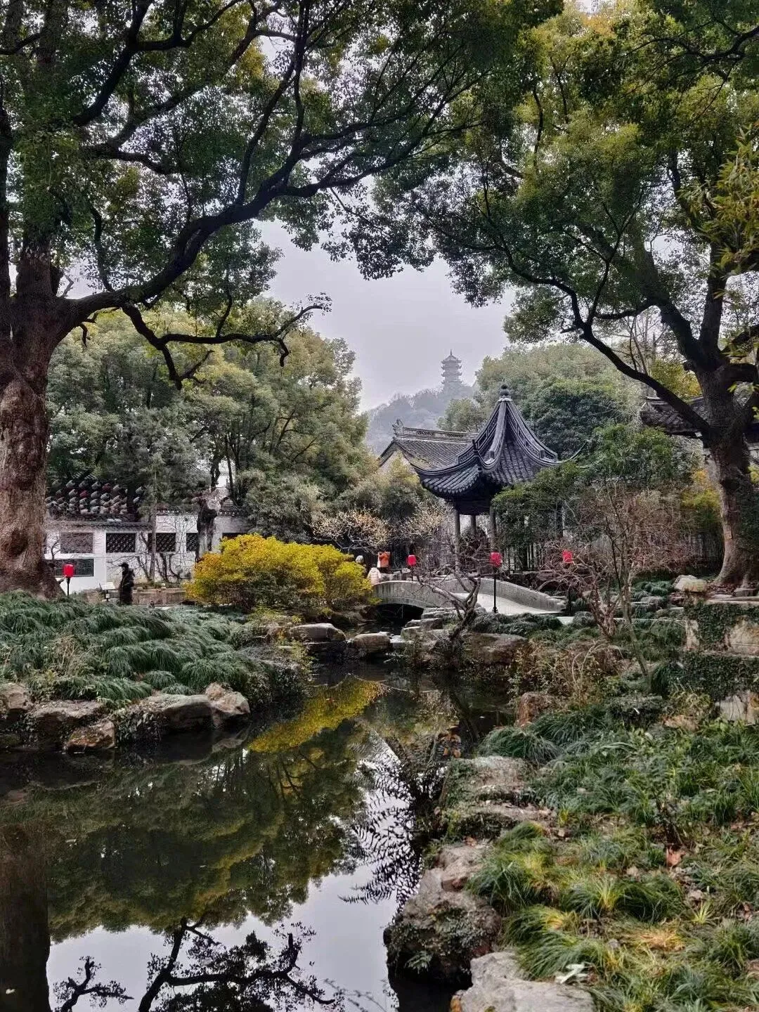 dba669b1a66e038a182a547be8f42fbc-sz_508316