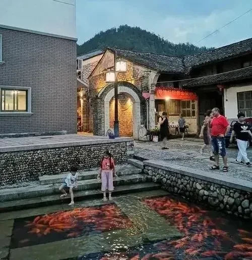 dbce0a41b791e864209e6de3d54207f1-sz_70063