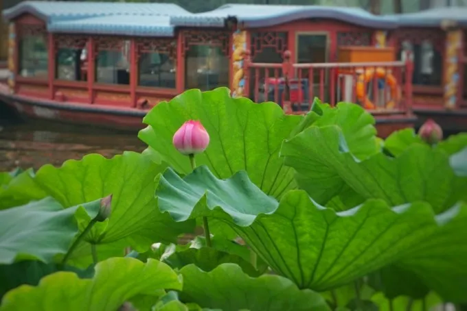 dc20075028c379ed54add6b0b21edbd6-sz_63988