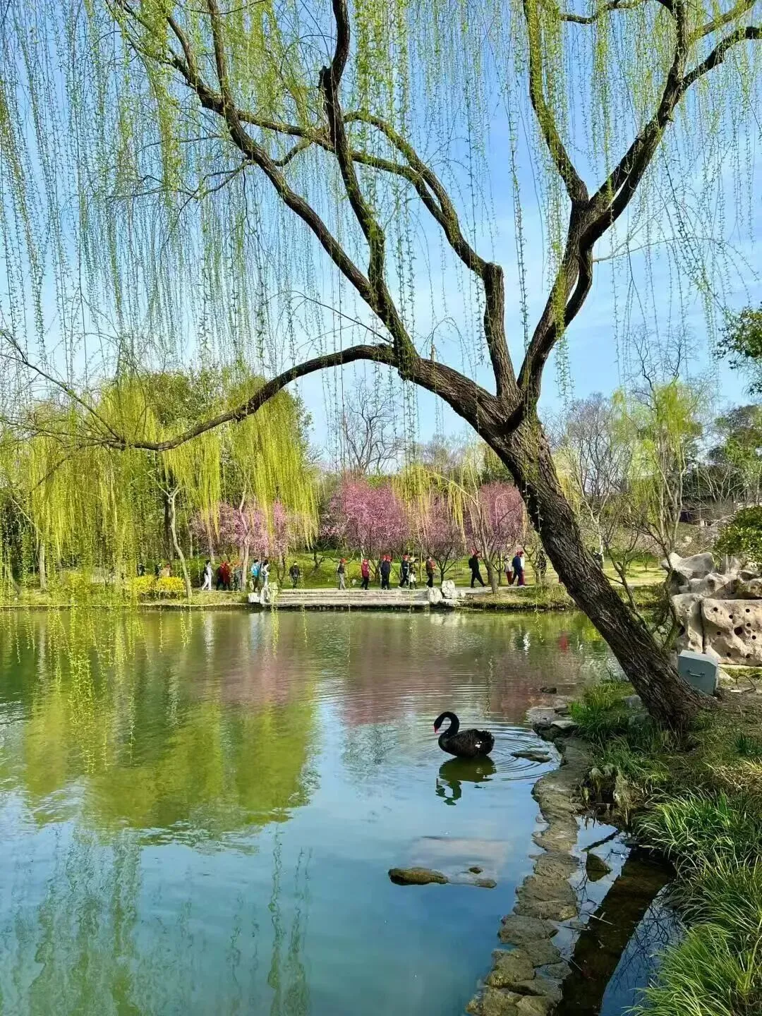 dc63472e6f007049b356a0ca302e90d8-sz_470649