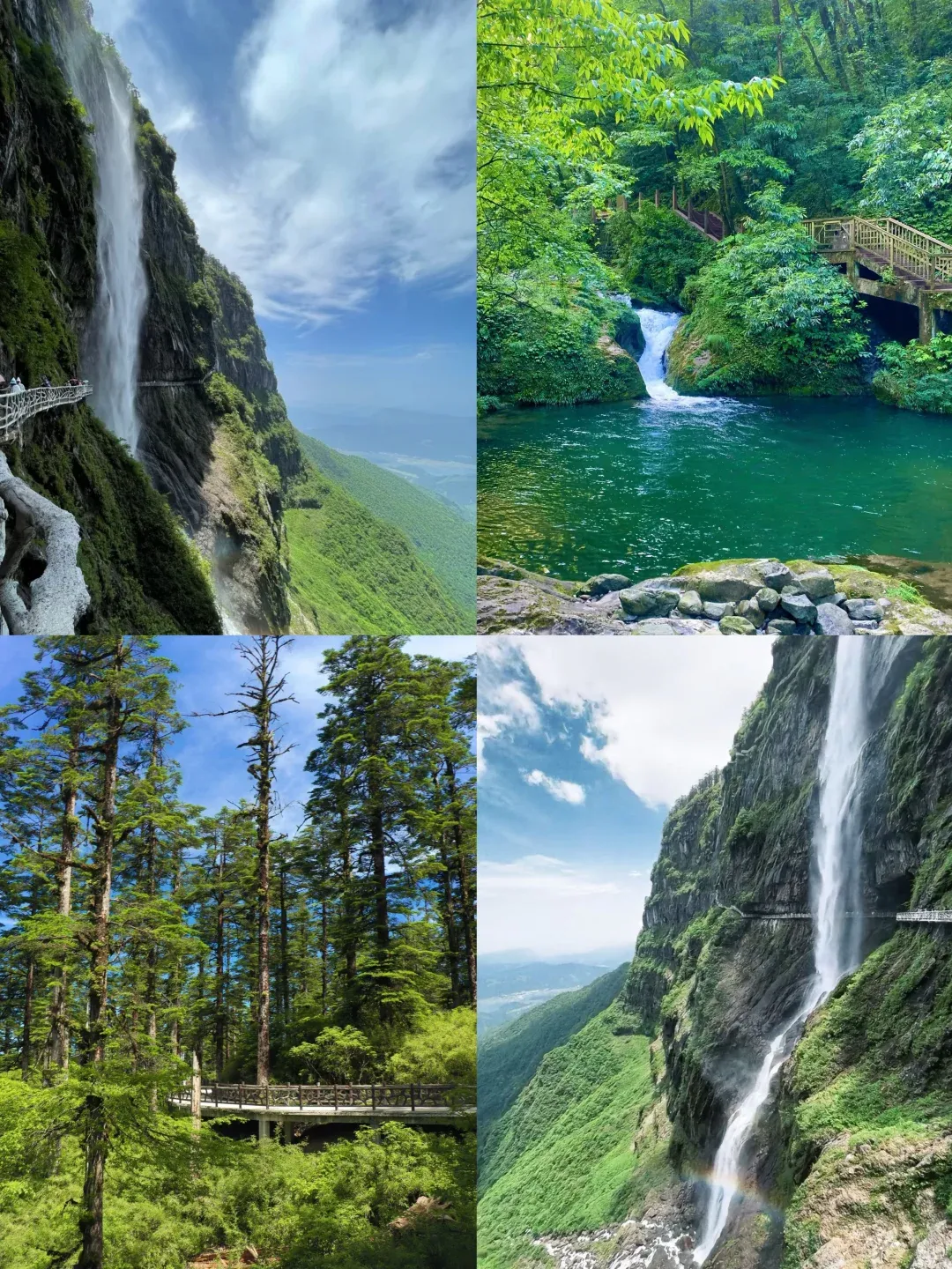 dcafe042699ad29e0c3f753bde669a4f-sz_3138915 dcafe042699ad29e0c3f753bde669a4f-sz_3138915