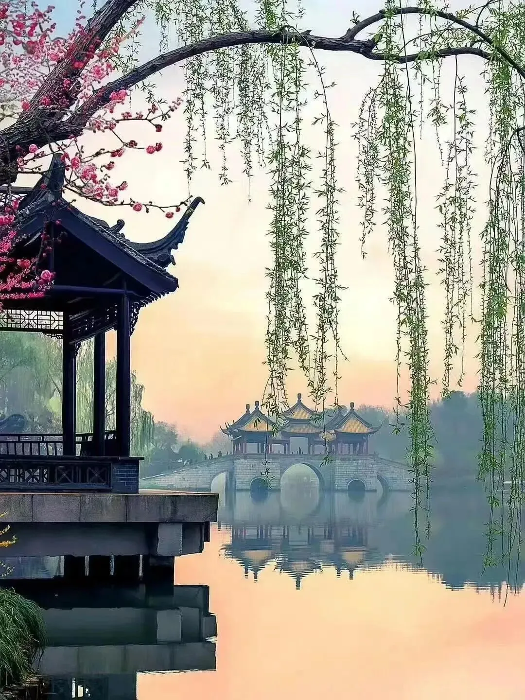 dd3f1ad130efc1f7d0852e1d711f3f6b-sz_351172