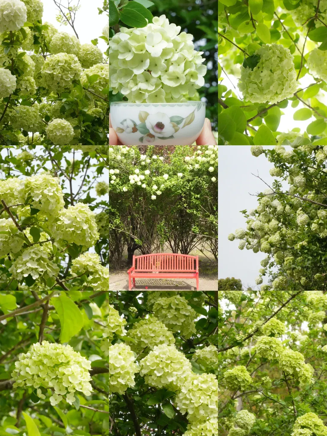 dd3fe414dcb8ba47a77be3ec34dfe159-sz_2689603 dd3fe414dcb8ba47a77be3ec34dfe159-sz_2689603