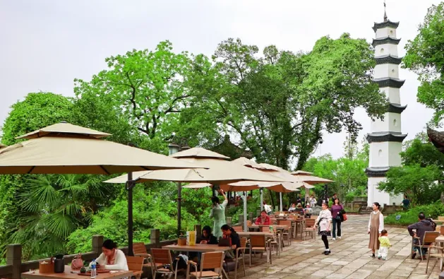 dd5f36a0d405e632b456d4ed4f6fbff0-sz_521562