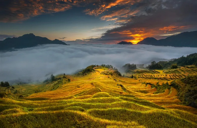 dd85c07d8fc2a4fc9ebe3502ad6db571-sz_961315 dd85c07d8fc2a4fc9ebe3502ad6db571-sz_961315