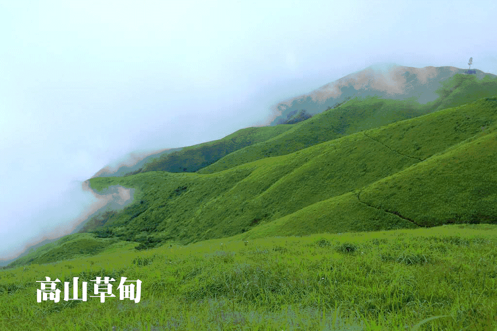 df3a5a75c6df9ea2993ad582c6014243-sz_943571