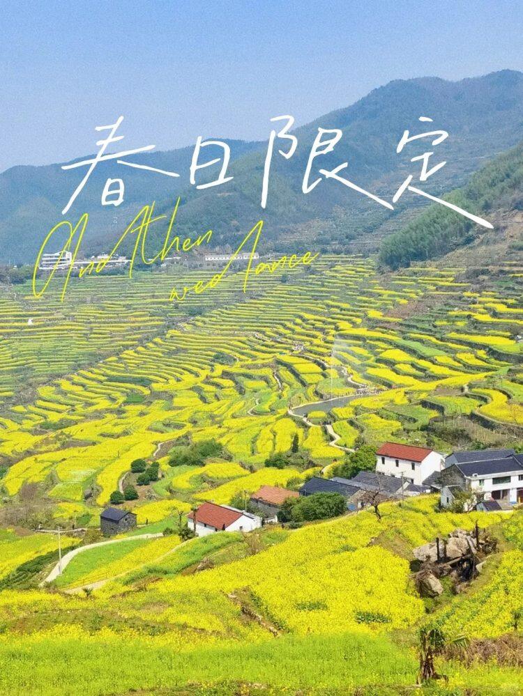 绍兴上虞·嵊州新昌千亩梯田五钻酒店四日游 499 元·全程大巴跟团，丰富自助早，顿顿12菜一汤，麻将唱歌全部免费·纯玩无购物·观赏油菜花·天姥山·戏剧小镇·鲁迅故居