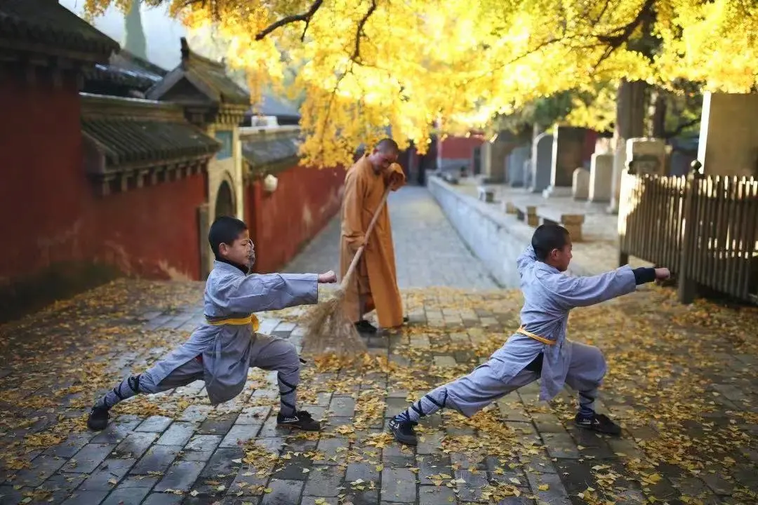 e00465f06dbf22c222281b66bda006eb-sz_144638-3