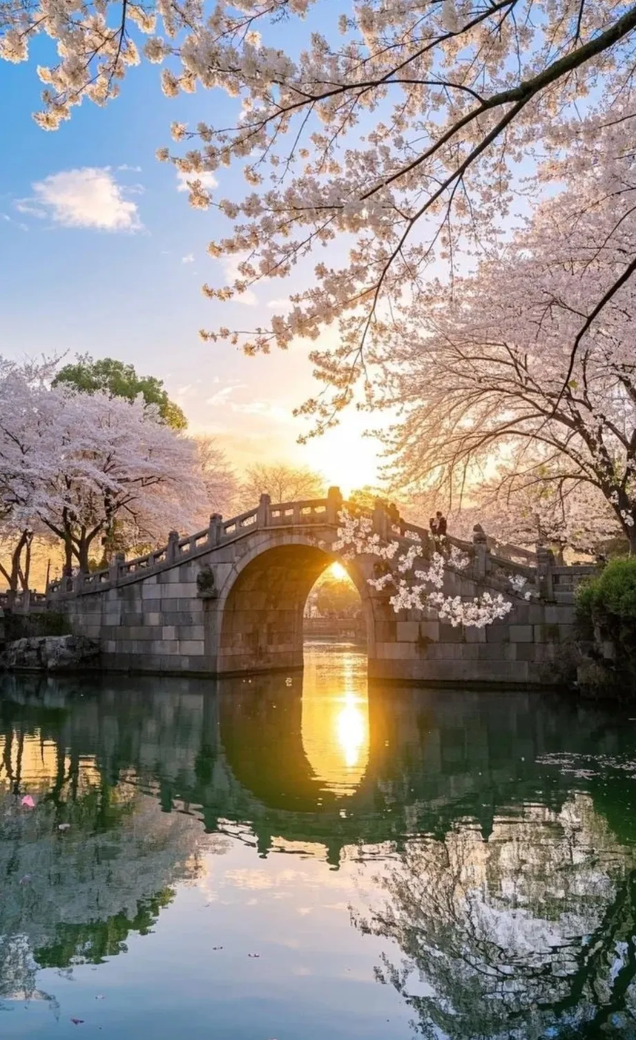 e02bb0b4db500b9f4bc49d2caf87ca18-sz_999835-1