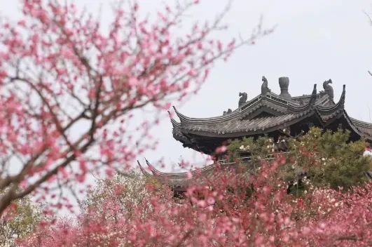 e07a111704fe743dec180fe09882f89d-sz_438356