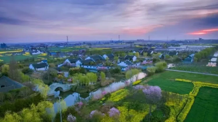 e0c86c0701123a8fb9847d501e4e58e8-sz_235381-1