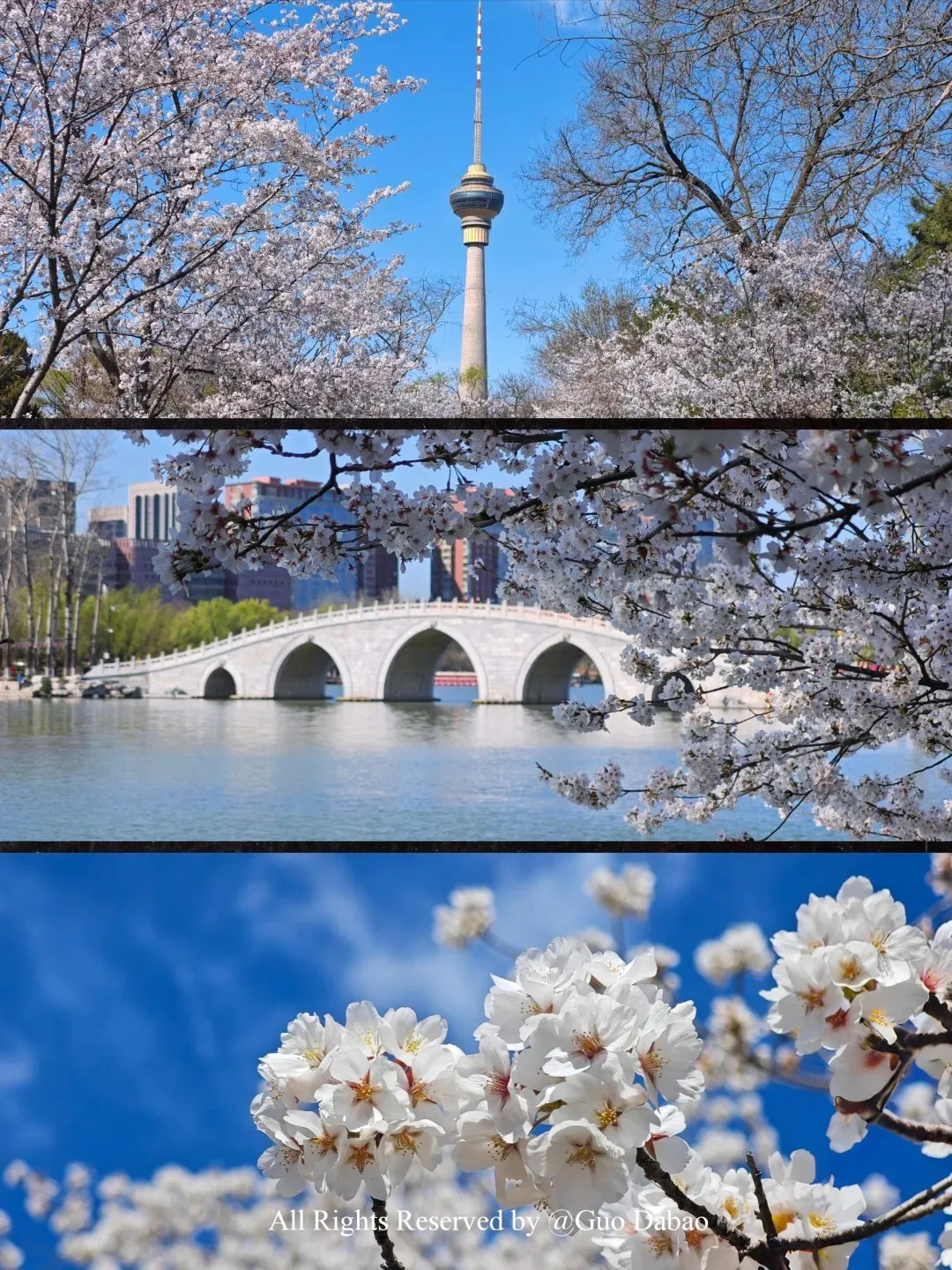 e10723c0eefe10e60bd5a7d66ac62ab5-sz_589243