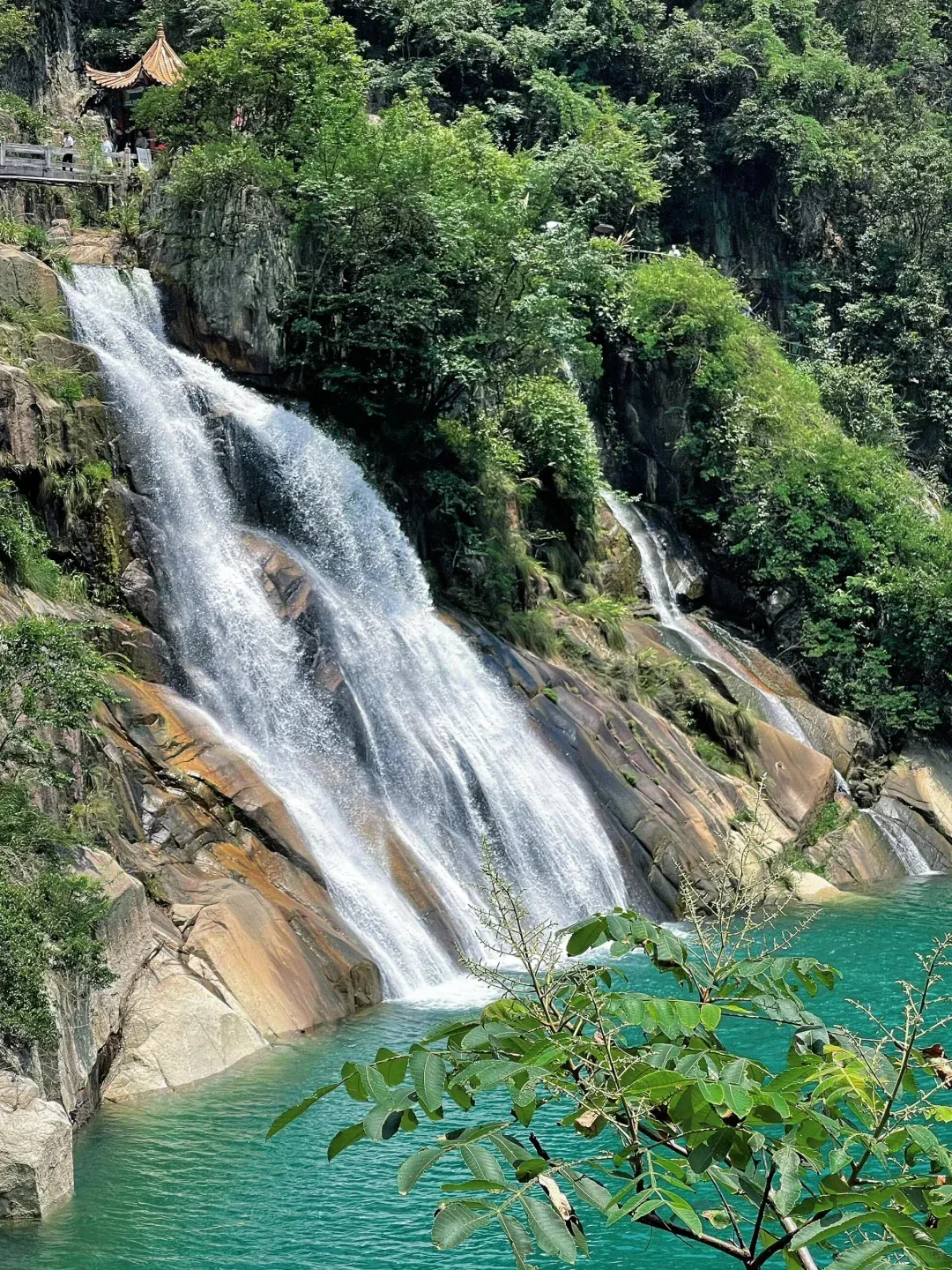 e184a967f391a897175aeaba0950969a-sz_4403376-1