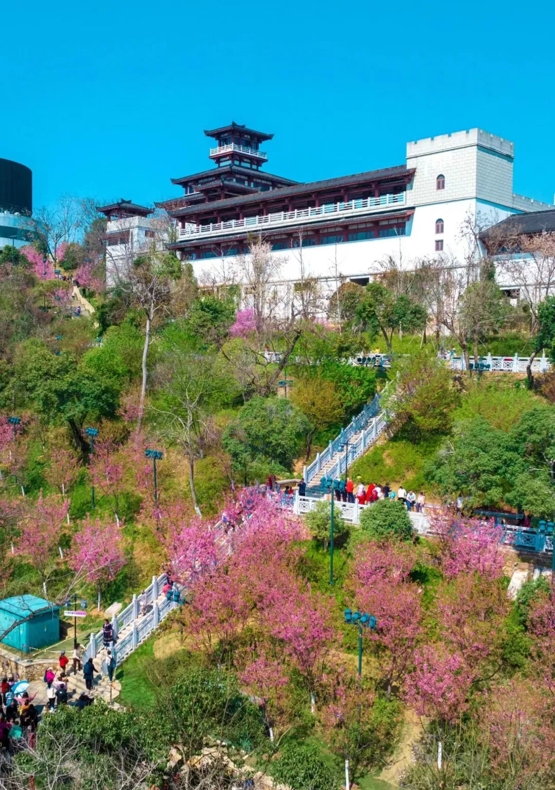 e1909a24f10605d9ee10e454805e9d45-sz_633842