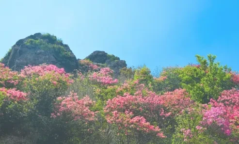 e1f7007b2528f2098318cb7e82382ffa-sz_274588