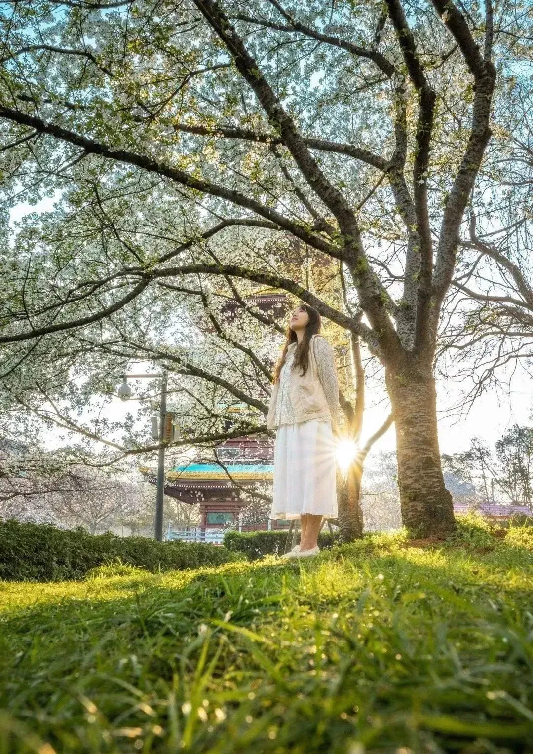 e298d003f61662502a2a30a46755d0ef-sz_567613