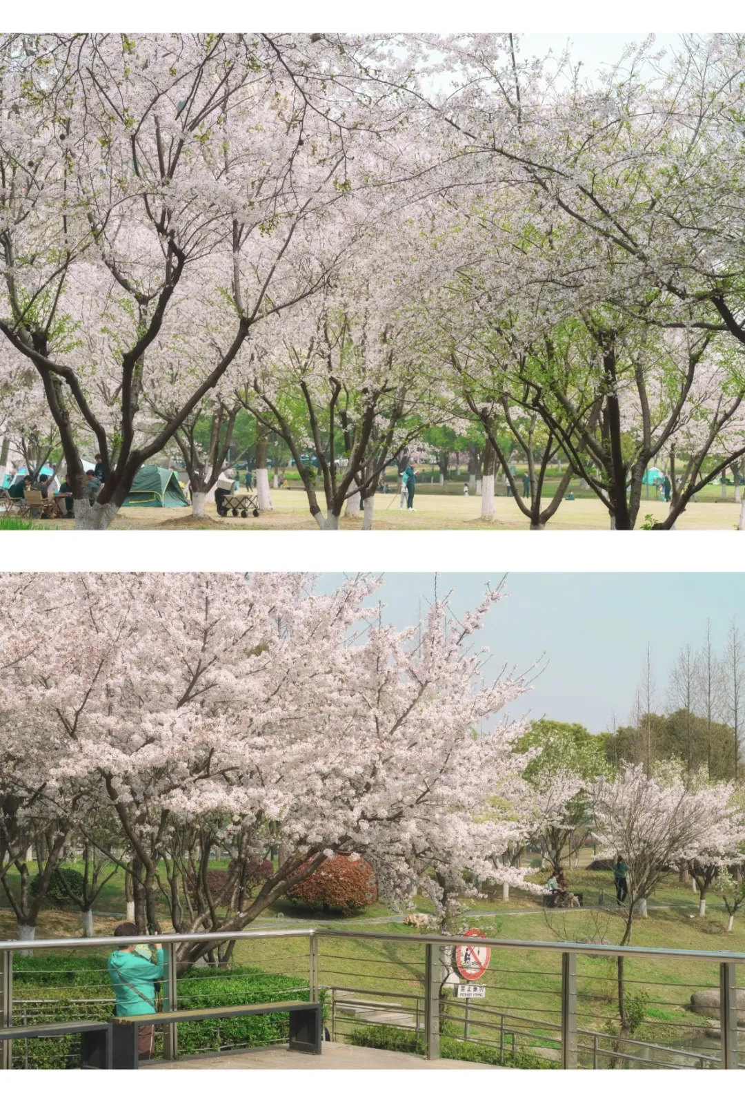 e2aef8689ef8979e3b1bc2b612603b26-sz_1156530