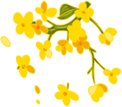 e2dc050bb1e39618cf6503810a371f2d_sz-121362