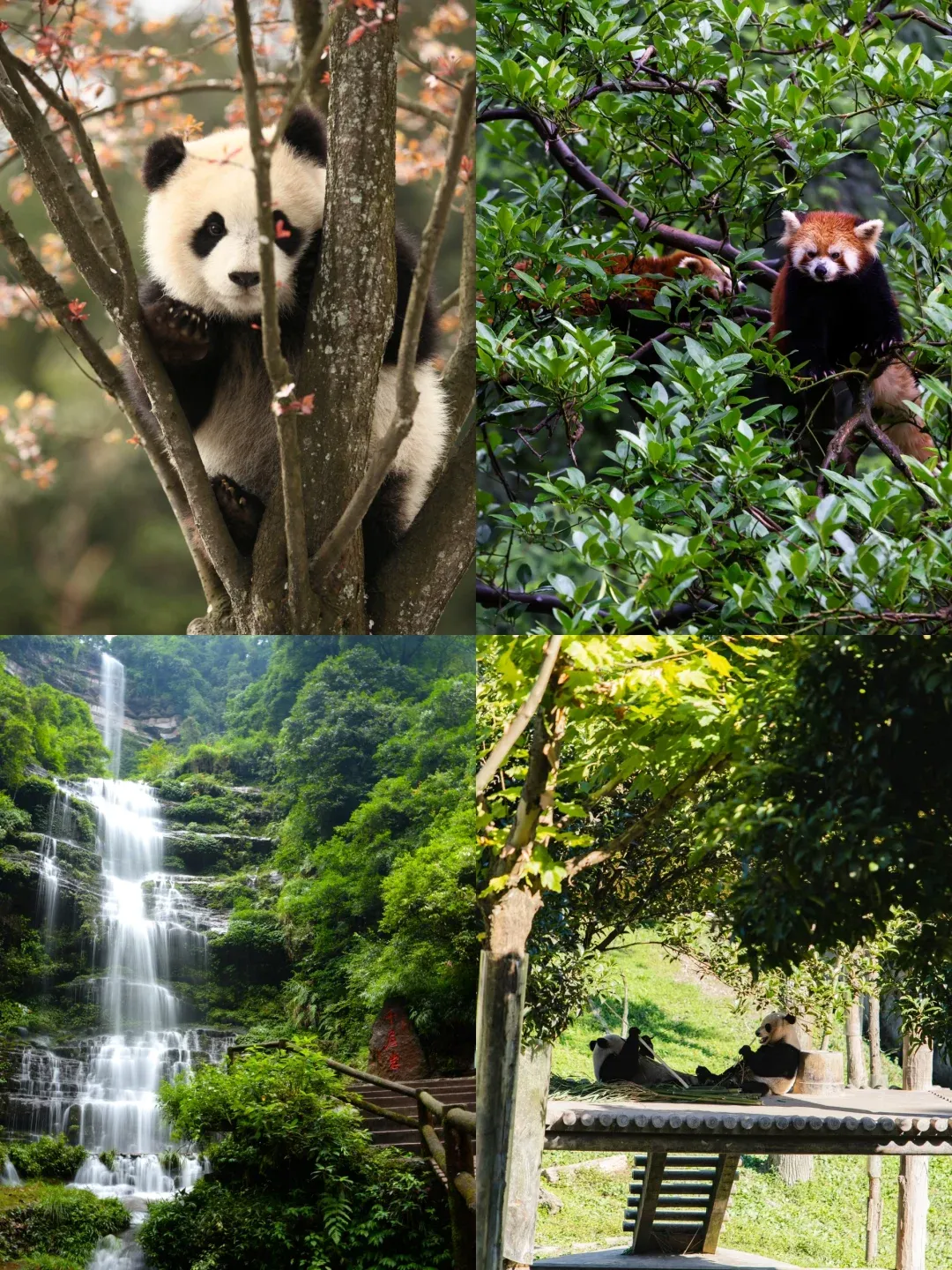 e3031a75f2bf5dccaed1704c04ac09e2-sz_3194941 e3031a75f2bf5dccaed1704c04ac09e2-sz_3194941