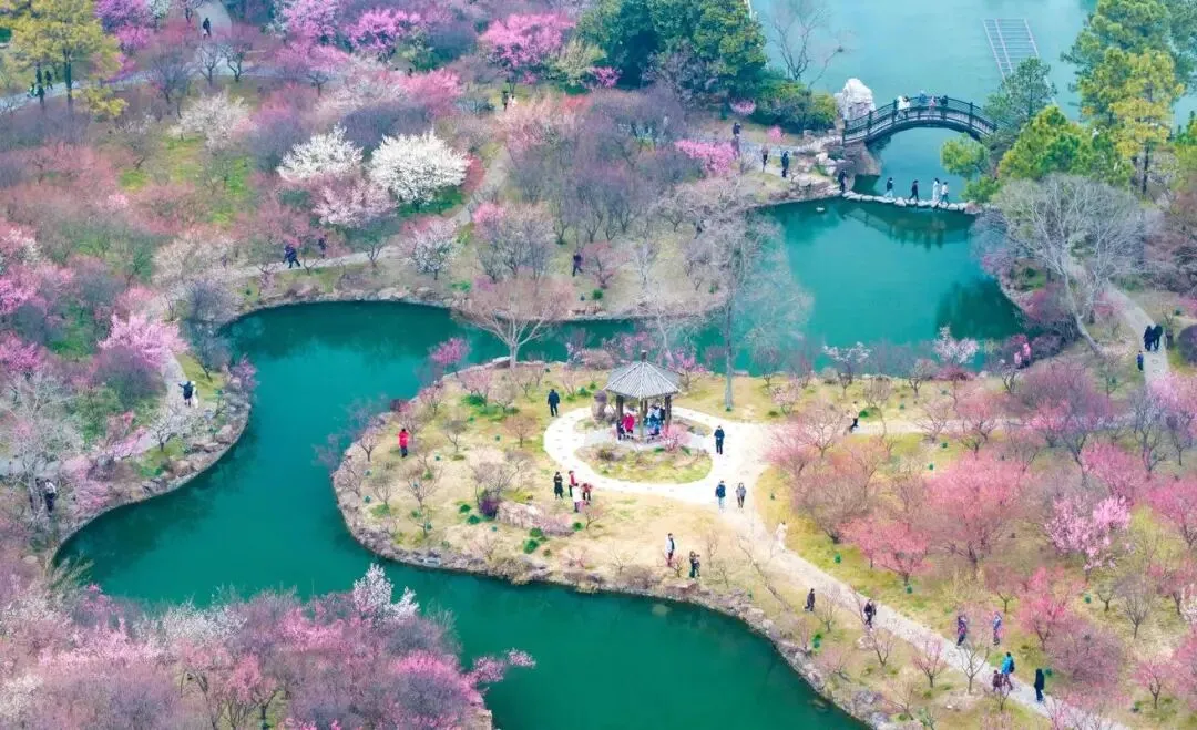 e30ca11086bc34c11558f12d2b7cbc84-sz_162813