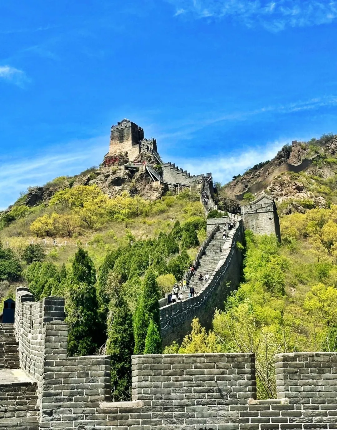 e31646e0d690d7ac40e8647ae20c0997-sz_555455