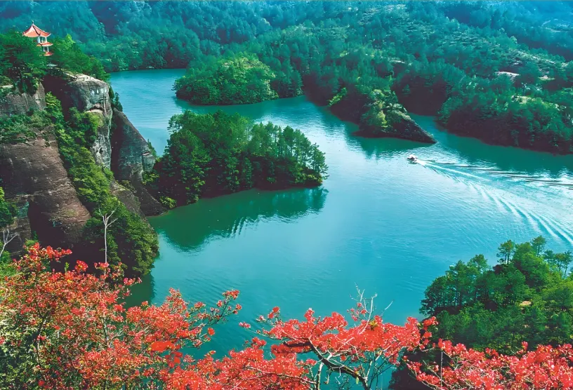 e32e8af7f36df80e27099956a2458c9f-sz_1200488