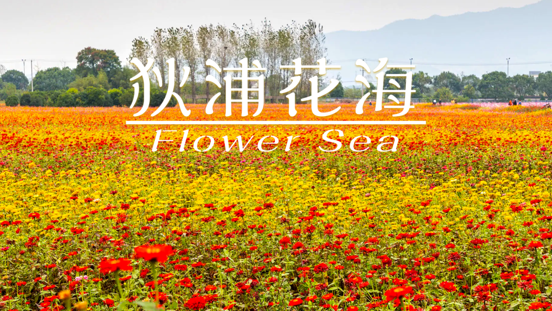 e3ab7b4f72851296f85a3429e4ba117d