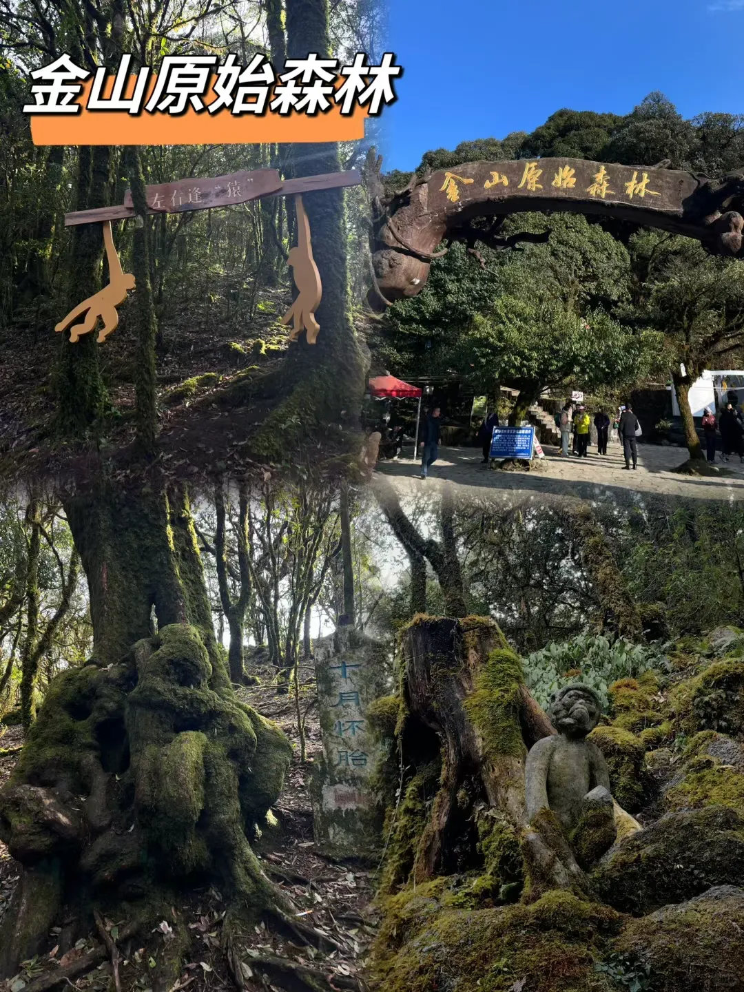 e3fa80ed99f9f22079f2791a67cec8f1-sz_3662117