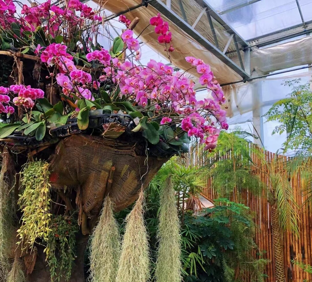 e465a6e6f7f4cad84f1fab533b2c339a-sz_1672528