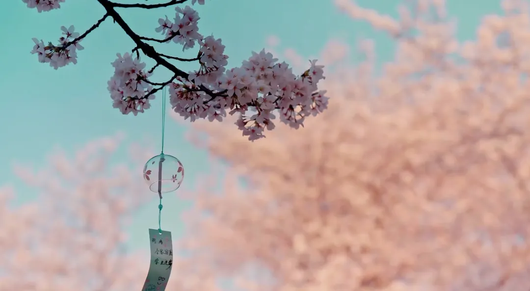 e48d21efa0bc42307e66bdc41b122be9-sz_329356-2