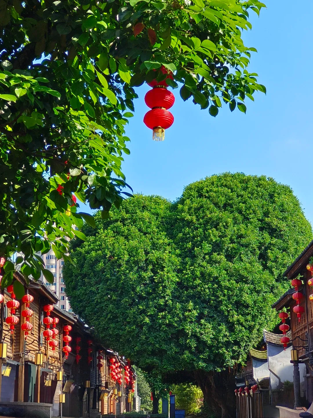 e566b3a977086fc58747256b53c30e13-sz_3359635