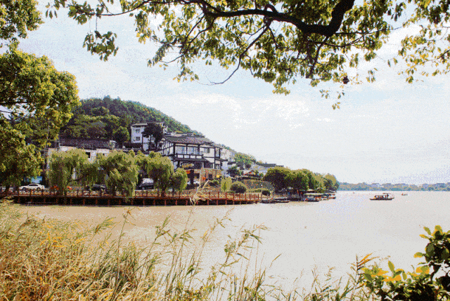 e57ff6b5eb0263c0f77e630a3ee84dea-sz_460656