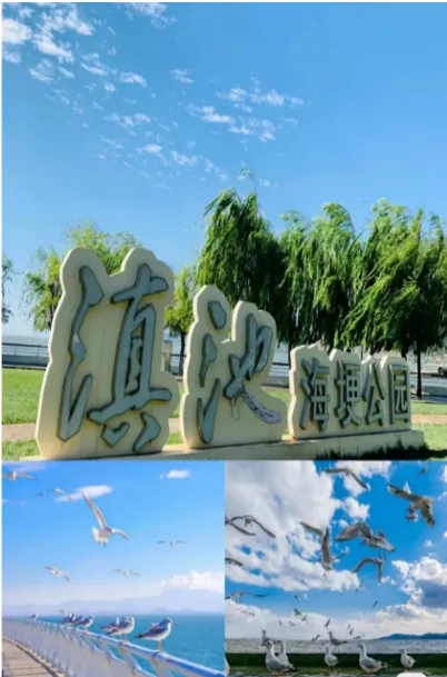 e5a28eae00f017179ebaebacb9b05be2-sz_559350