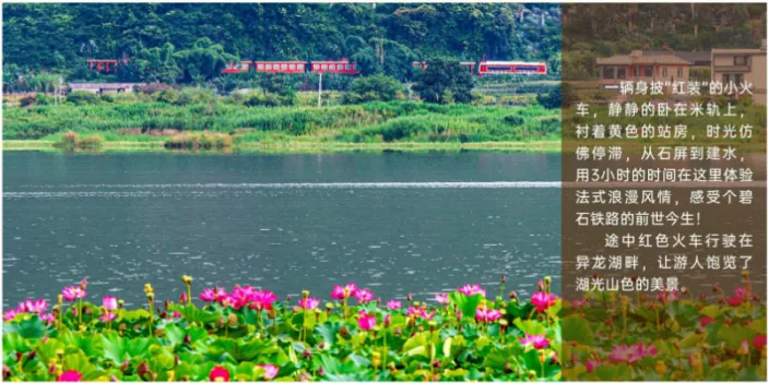 e5c80626bd4285c0f3354dbc53840e04-sz_452268